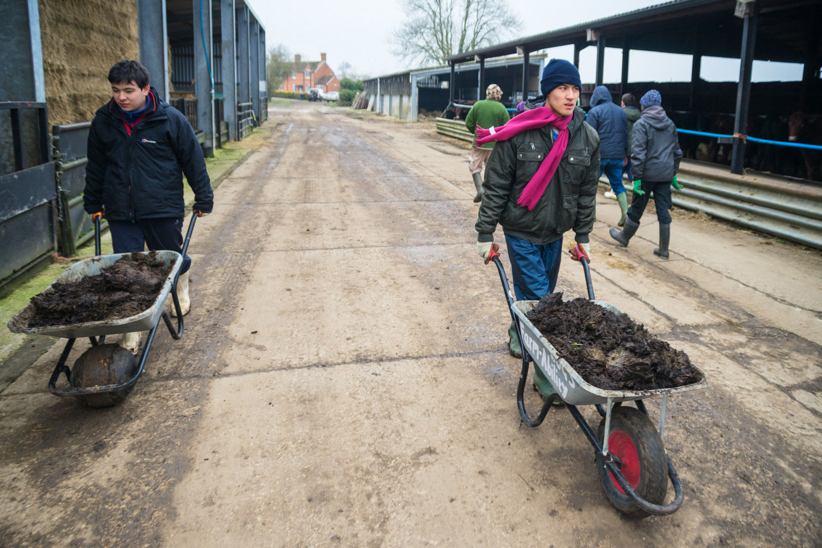 Antony-Julian-wheelbarrow