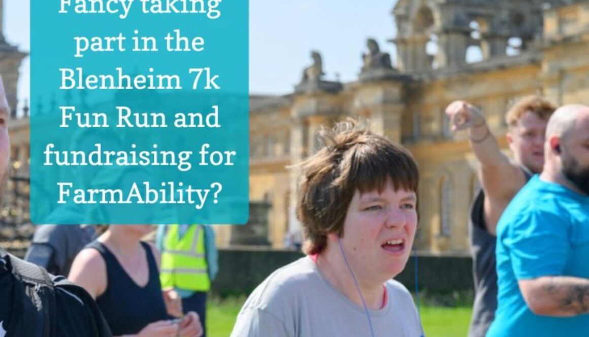 Blenheim-7k-for-website