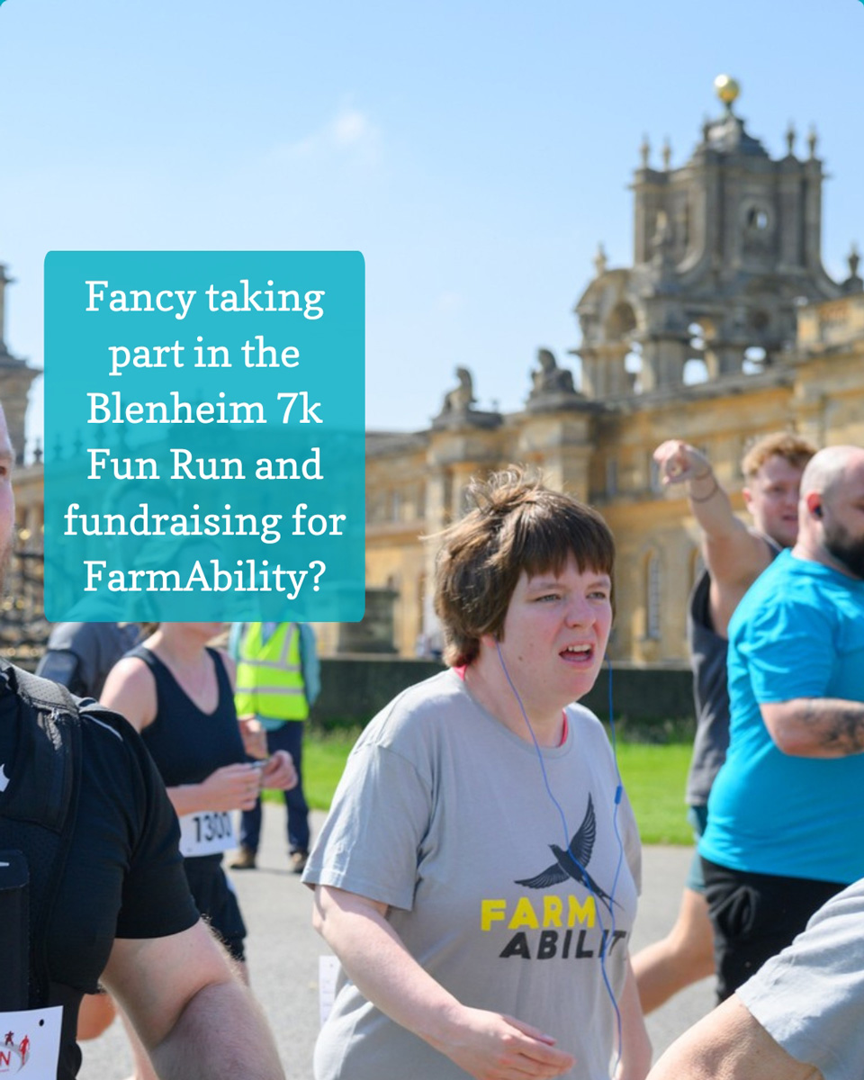 Blenheim-7k-for-website Blenheim-7k-for-website